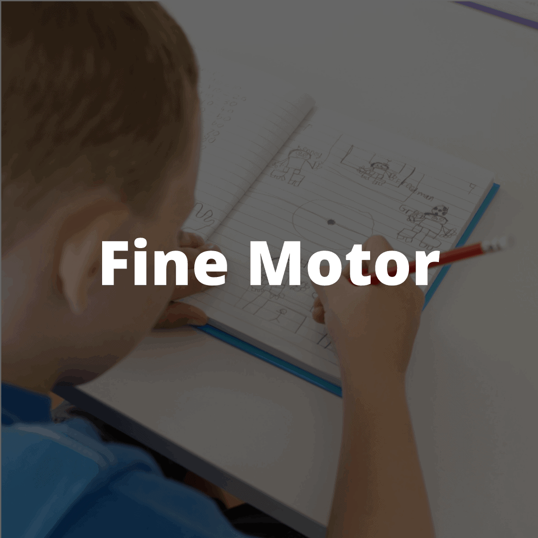Fine motor skills