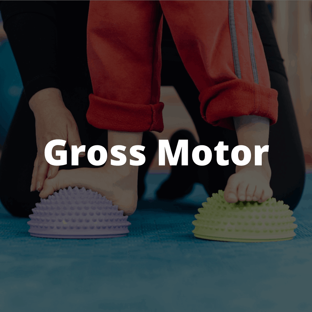 Gross Motor